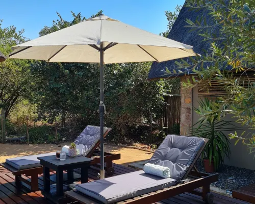 The Dreamcatcher Lodge Hotels in Hoedspruit