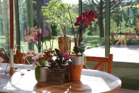 Le Manoir Saint Clair Hotel di Pin-Balma