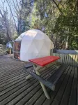 Magma Lodge Pucon