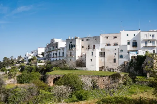 세멘티네 트래디셔널 시크 - 스위트 11