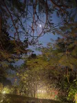 Camp Temgarh Hotels in Lavasa