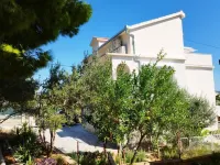 Domenico - 50 m from the Sea