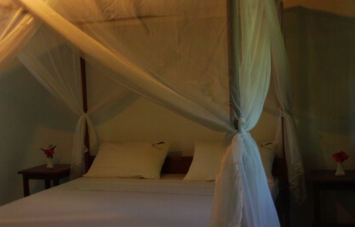 Lodge de l Hippocampe Parc Masoala