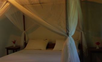 Lodge de l Hippocampe Parc Masoala