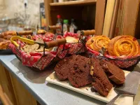 Hôtel la Muette Hotels in Arles