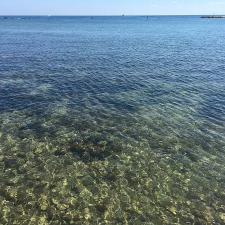 Apartment in Kings Palace with a sunset view and an easy walk to Venus Beach
