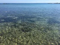 Apartment in Kings Palace with a sunset view and an easy walk to Venus Beach