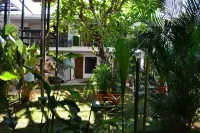 วายด์ เม้าท์ ฟร็อก โรงแรมใน