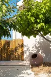 Seafront luxury villa with private swimming pool in Pomos, Cyprus. Pomos Harbour 주변 호텔