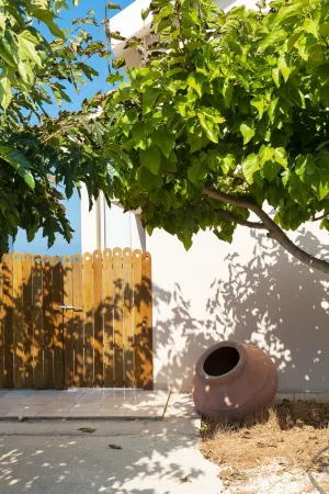 Seafront luxury villa with private swimming pool in Pomos, Cyprus.