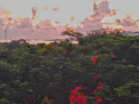 Hidden by beautiful palm and flamboyant trees but close to restaurants & stores