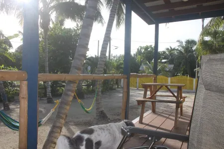 Gumbo Limbo Art Cabana - Stunning Peaceful Cabana, Steps From Ocean, Free Bikes Отели рядом с достопримечательностью «Сплит»