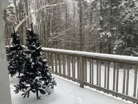 Cozy Chalet 5mins from Okemo, SAUNA JACUZZI HOT TUB Hotels in Mount Holly