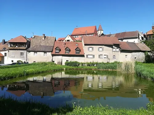 Farmhouse for holidaymakers in Vogtsburg / Kaiserstuhl with courtyard / garden