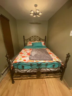 Private Apartment Near UBS Arena &JFK