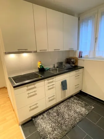 Cozy apartment in a prime location in Zurich district 4