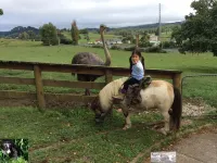 Waitomo Big Bird Retreat Hotels in Waitomo Caves