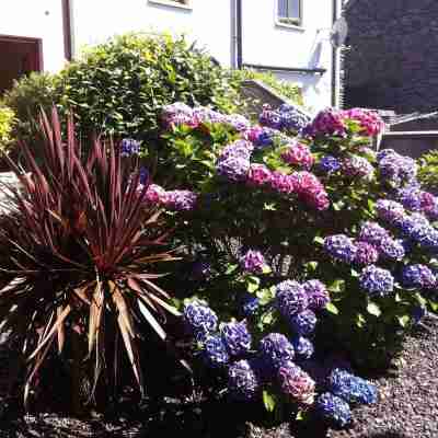 Spacious Comfortable Holiday Home in the Heart of Dingle Hotel Exterior