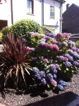 Spacious Comfortable Holiday Home in the Heart of Dingle - 3-Star