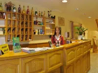 Corvin Hotel Hotels in Gyor