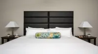 Downtown Dallas CozySuites w/ Gym #10