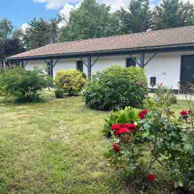 Cit'Hotel les Eleis Hotel Exterior