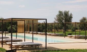 Secolario Masseria del Viverbene