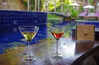 Pousada Presidente Hotel - bar
