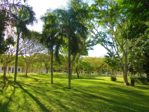 Resort Fazenda Sao João Hotels in Aguas de Sao Pedro