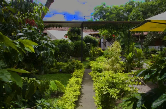 Hostal Antigüeño Hotels near Antigua Central Park