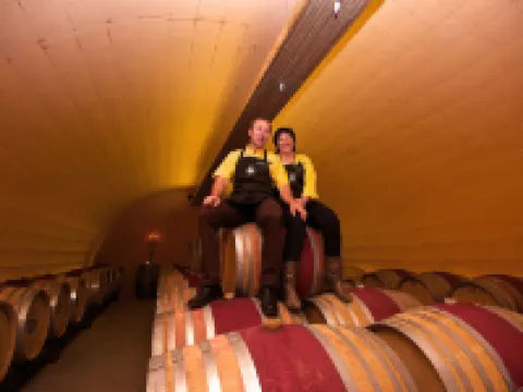 Castel de Daval Hotels in Sierre