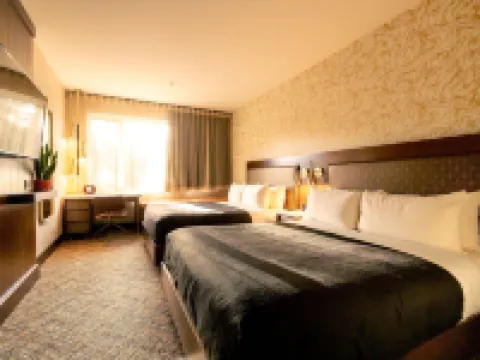 ホテル ゼド トフィノ トフィーノのホテル