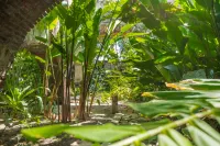 Hacienda de San Ignacio Hotels in Marcelino Rodriguez