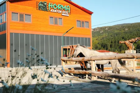 Horma Kanyon Otel Отели в г. Calkaya Mahallesi