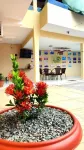 Hotel Pinto Martins Hotels in Camocim