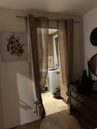 Zenith / comet Olivet <br>