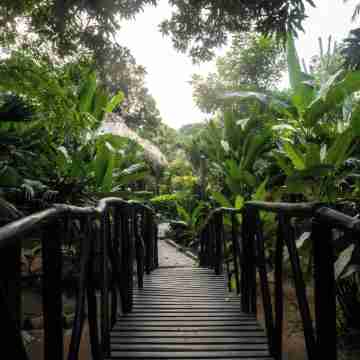 Ecohabs Bamboo Parque Tayrona Others