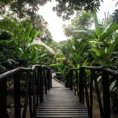 Ecohabs Bamboo Parque Tayrona