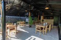 Turtle Maldives - Your Gateway to the Beach & Marine Adventures Await! - breakfast