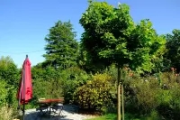 La Maison Jaune à la Janaie - homestay