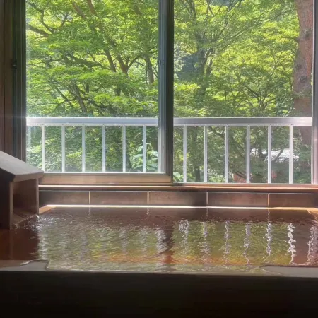 Shinobu Hot Spring - Seishu