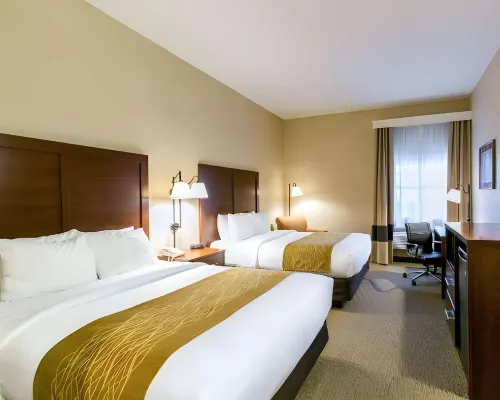 Comfort Inn Warrensburg Station Hotels in Warrensburg