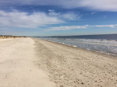 Great home for the working traveler. Short term or long term is welcome.