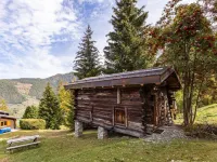 Chalet Pain Seigle Hotels in Riddes