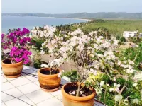 Orange Apartment con vista al mar y a las montañas en casa elegante