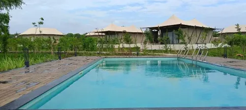 Untamedpaws Hotels in Yavatmal