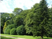 MANOIR DES HERBES Hotels in Touques