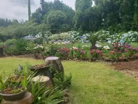 濟州春子內膳宿 鄰近神話主題公園的酒店