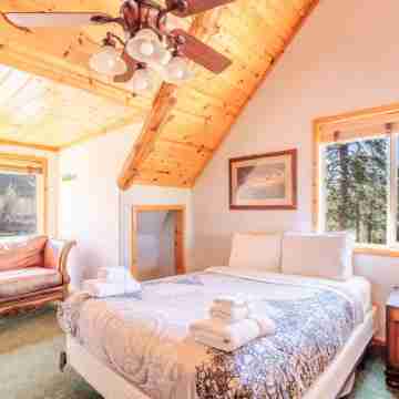 New! Bearadise~ Mighty Bear Manor Rooms