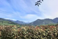 Olive Grove Garden House With Mountain View Close to Forte dei Marmi Hotels in Seravezza